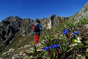 18 Gentiana verna (Genziana primaticcia)